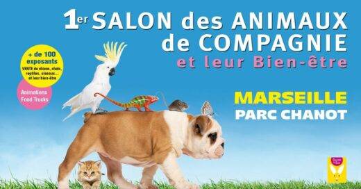 salon-animaux-marseille-520x272-c-default