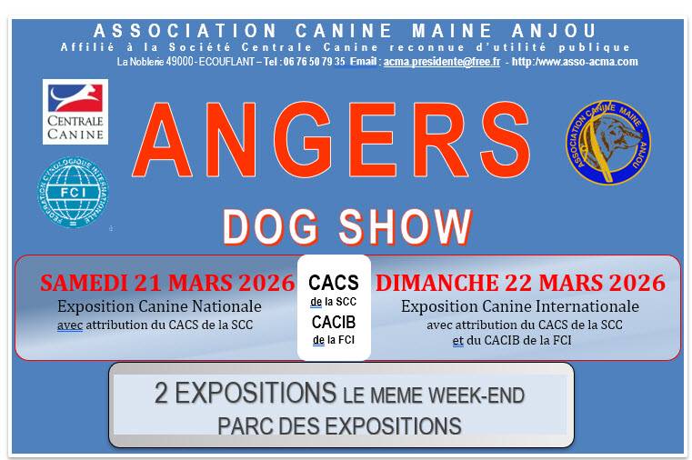 628541698_1459458076210585_582239424092773805_n